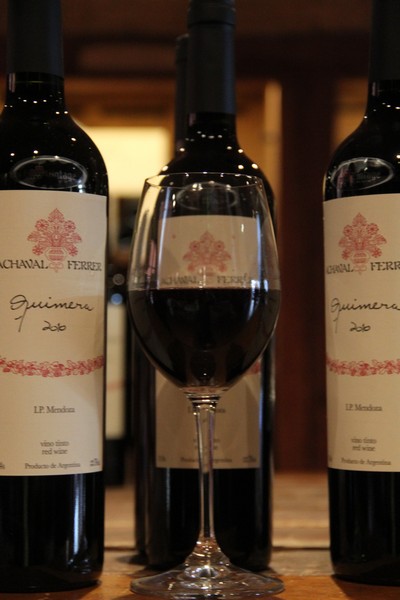 Tasting of Achaval Ferrer Wine